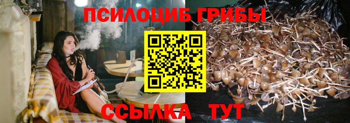 Мирный  Галлюциногенные грибы GOLDEN TEACHER  Вход с VPN 